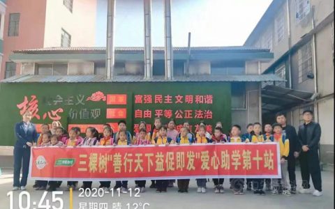 2020年度三棵树“公益之星”评选已启动，邀您来投票！