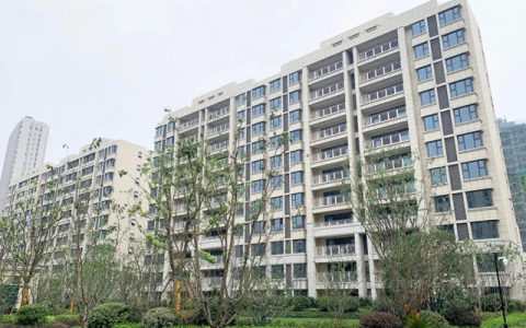 精品案例︱产品力时代，如何为高端住宅再定义爆款外墙标准？