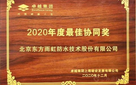 东方雨虹(ORIENTAL YUHONG)荣获卓越集团”2020年度最佳协同奖”