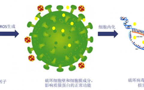 立邦隆重推出抗病毒粉末VBS002