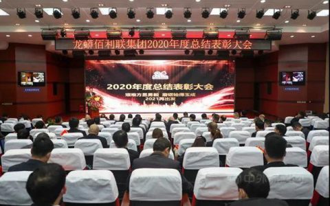 开局“十四五” 踏上新征程 携手共创龙佰新辉煌——集团召开2020年度总结表彰大会