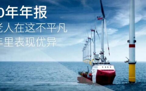 2020年年报：海虹老人在这不平凡的一年里表现优异，并根据新战略宣布了第一笔收购
