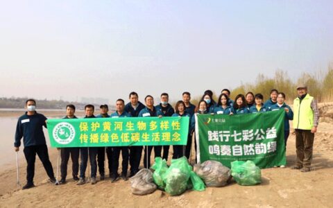 践行七彩公益，鸣奏自然韵绿——七彩建设公益植树活动侧记