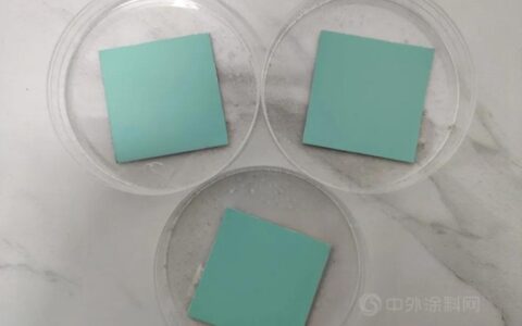 海化院检测中心首次完成耐霉菌实验