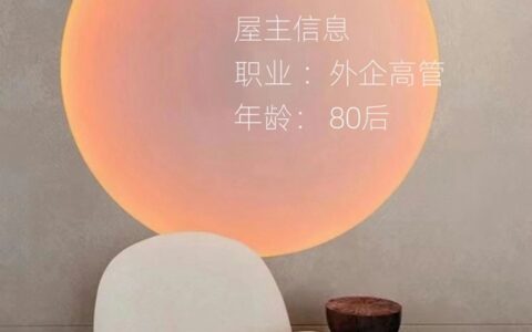多彩微水泥艺术墙面，粗犷素雅，高端布局，成功人士的工业风格调