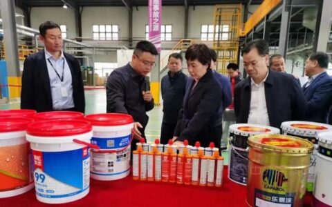 岳阳市委副书记、市长李爱武调研湖南德爱威云建材科技有限公司