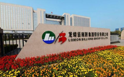 第一季度盈利超10亿！龙蟒佰利增长秘诀是什么？