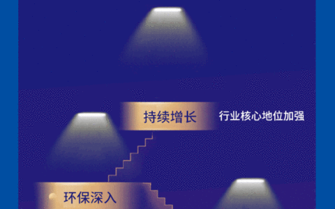 一图读懂金力泰2020年度报告