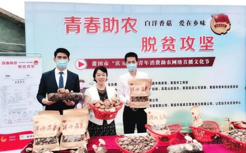 守护美好生活丨三棵树发布2020年度企业社会责任报告书