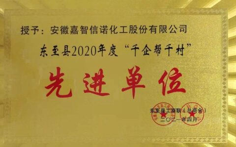嘉智信诺荣获东至县2020年度“千企帮千村”先进单位