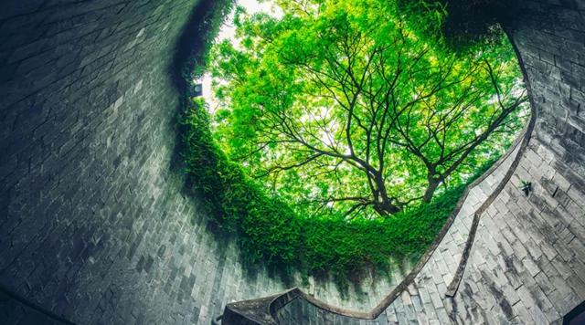 东方雨虹李卫国：置之死地而后生（中英双语）