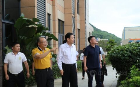 韶关市市人大常委会陈曦副主任调研合众二期建设项目