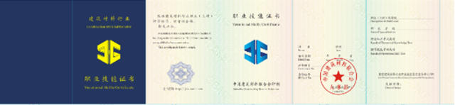 墙体艺术涂装师职业标准即将出台 瓦科公司深度参与标准制定