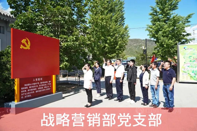 学党史 悟思想 开新局 | 北新建材各党支部开展党史学习教育