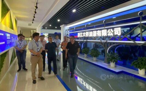浙江省经信厅领导一行莅临大桥油漆考察调研