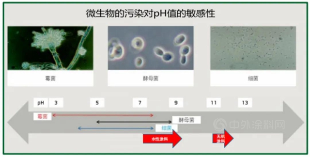 久诺高效无机抗菌防霉涂料 墙面抗菌防霉新选择