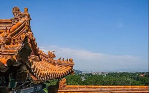 珠海展辰戴军：居高望远可以明了世势，踏实有为才是事业真谛
