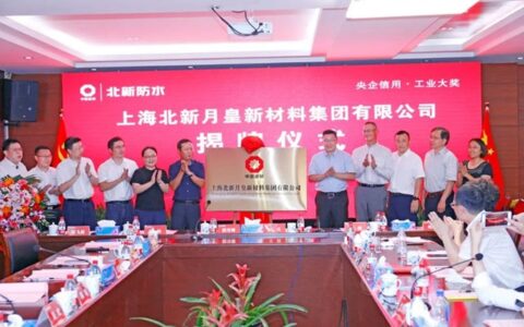 北新建材董事长王兵的另一个身份