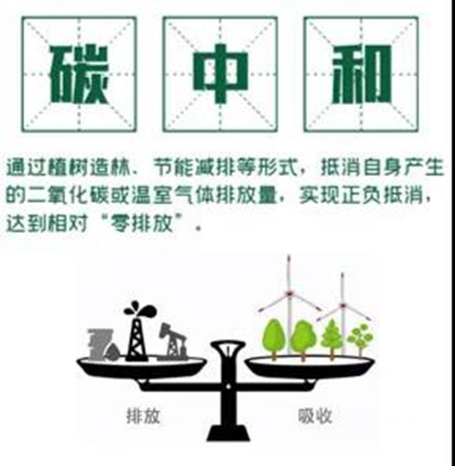 巴德富：一文带你轻松读懂“碳”知识！