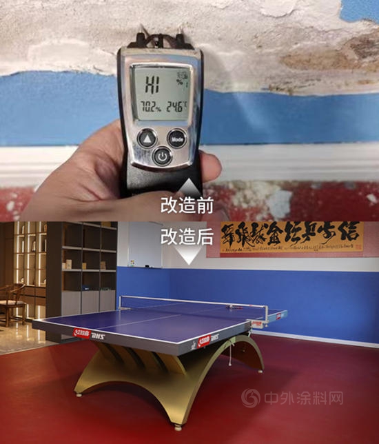 《冠军的新家》：三棵树带我们探寻张继科新家的秘密