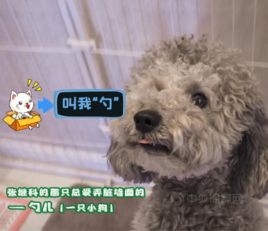 《冠军的新家》：三棵树带我们探寻张继科新家的秘密