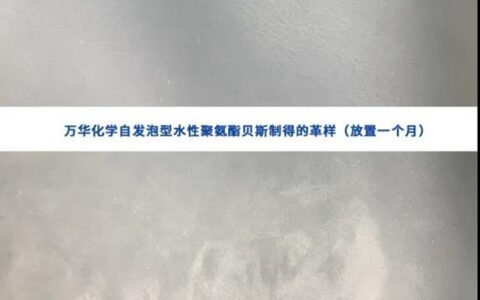 “自”出心裁——万华化学自发泡型水性聚氨酯