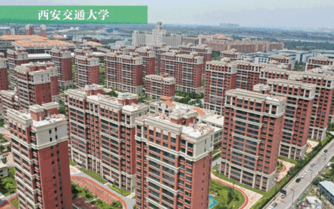 三棵树 一筑一风景丨开学季高校环境再度升级，绿色校园迎接新同学