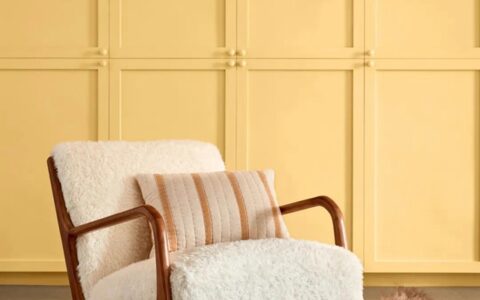 威士伯2022年度色全球首发！用颜色定义未来美学！