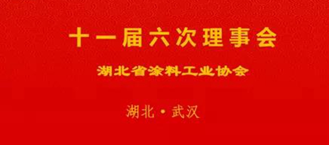 湖北省涂料工业协会 第十一届第六次理事（扩大会议）在汉圆满召开
