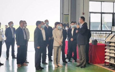 岳阳市委副书记、市长李爱武率队调研德爱威岳阳生产基地