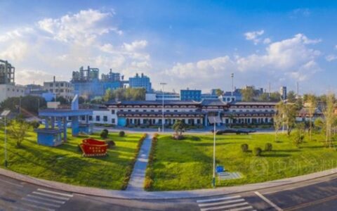 又砸35亿元投建钛白粉项目！龙佰集团3个多月投资59亿