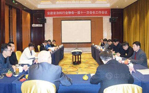 安徽省涂料行业协会第一届十一次会长工作会议顺利召开