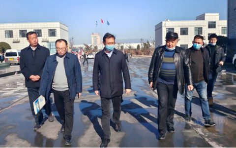 中国地质大学成金华教授深入南召新广源调研