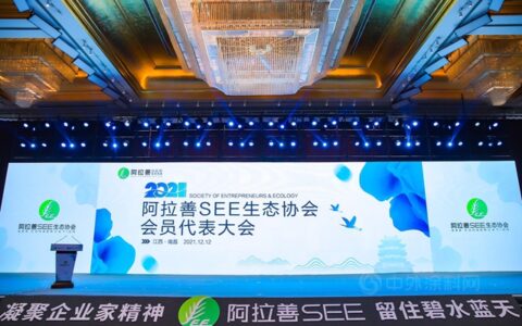 三棵树与公益同行，再获SEE多项荣誉