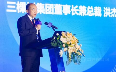 三棵树洪杰：战术影响一年，战略影响十年，文化影响百年