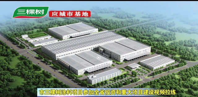 三棵树应城项目参加湖北省投资和重大项目建设拉练