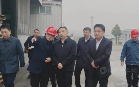 汨罗市委书记朱平波莅临新威凌公司汨罗生产基地调研