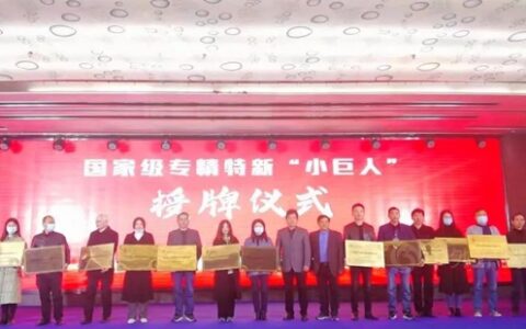 岳阳凯门水性助剂有限公司荣获国家级“小巨人”企业