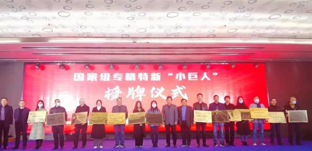 岳阳凯门水性助剂有限公司荣获国家级“小巨人”企业