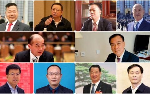 两会专题｜涉及涂料，聚焦石化建材！代表委员为行业高质量发展献言献策