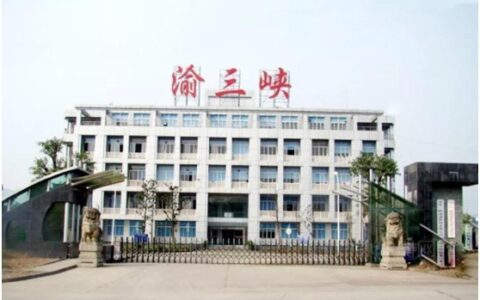 挣得不如投得好！这家涂企去年创收4.8亿 9成利润竟来自…