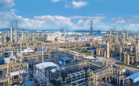 中国石化与巴斯夫为南京一体化基地扩建项目奠基