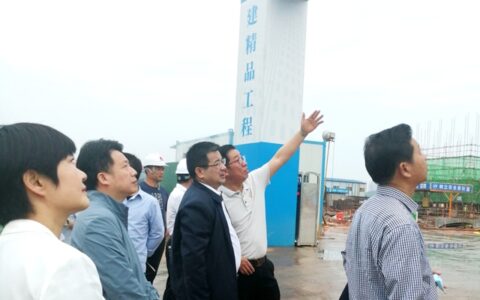 岳阳市政协主席徐新楚一行莅临金彩螺新材料产业园调研指导工作