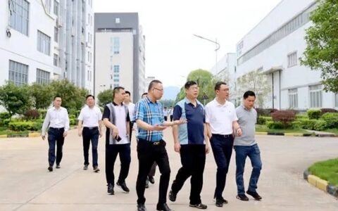 广西自治区工业振兴特派员到七色珠光指导调研