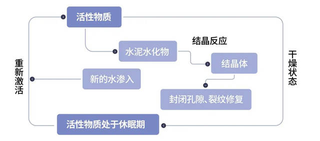 东方雨虹：不一样的防水涂料