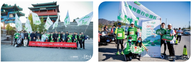 不止三棵树！阿拉善沙漠种下255万棵