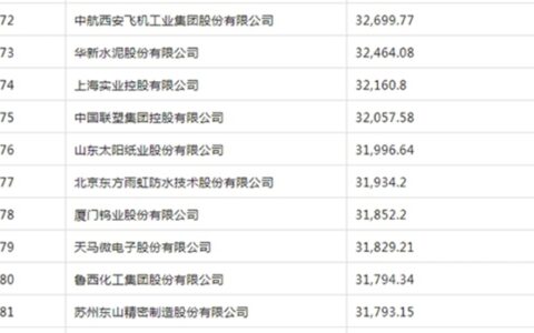 《财富》中国500强只有一个涂料企业