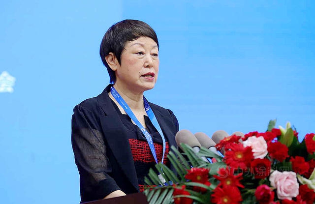 中涂协会长孙莲英：加快向涂料强国迈进