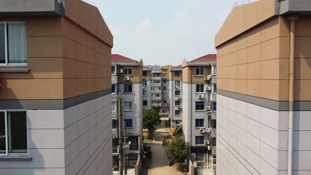 涂料今年各种难！跟住大佬，干就对了，立邦/三棵树/嘉宝莉/美涂士在干啥