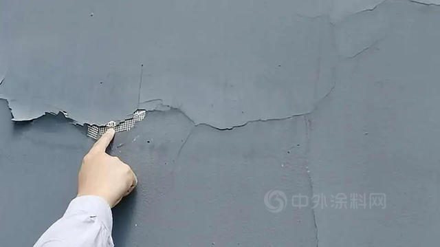富思特美好中国行——葫芦岛